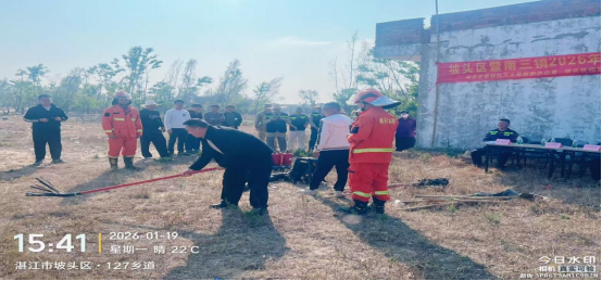 坡头区政府网站(图3)